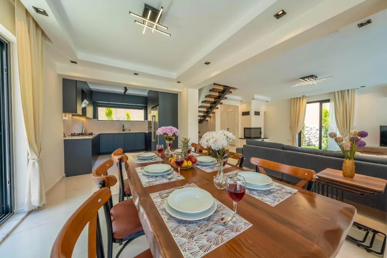 Luxury 4-Bed Villa With Private Pool And Jacuzzi Ovacık Törökország